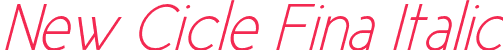 New Cicle Fina Italic